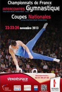 Alliance Elan Gymnique / Montcellienne