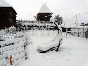 Neige