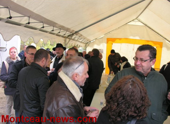 marronniers cochon 2511134