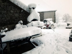 Neige