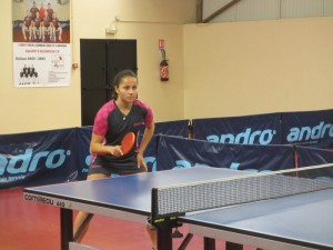 Tennis de Table Club (Montceau-les-Mines)