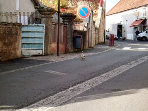 Perrecy-les-Forges