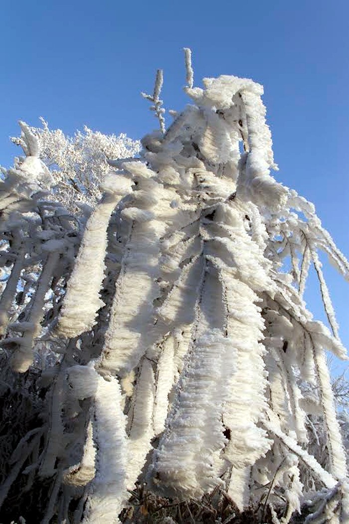 GIVRE 13 13 131