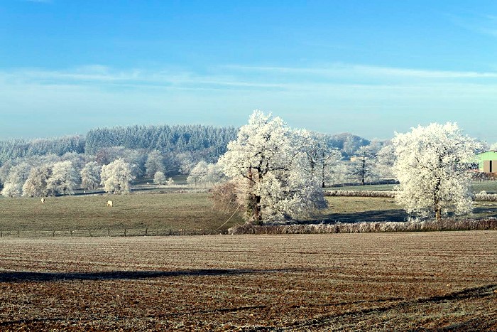 GIVRE 13 13 132
