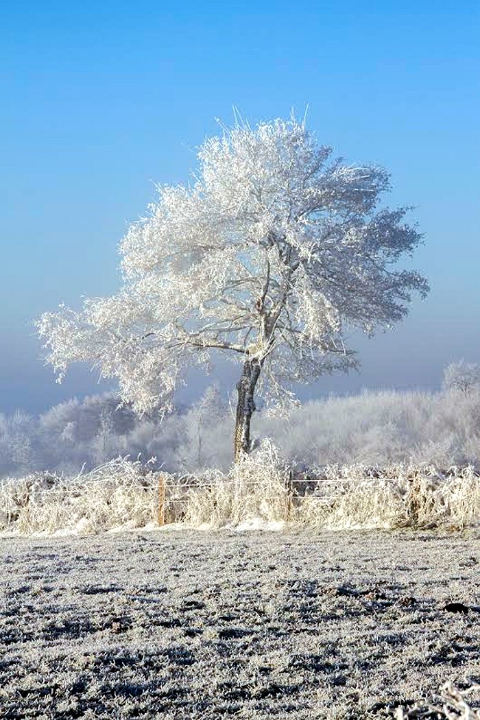 GIVRE 13 13 133