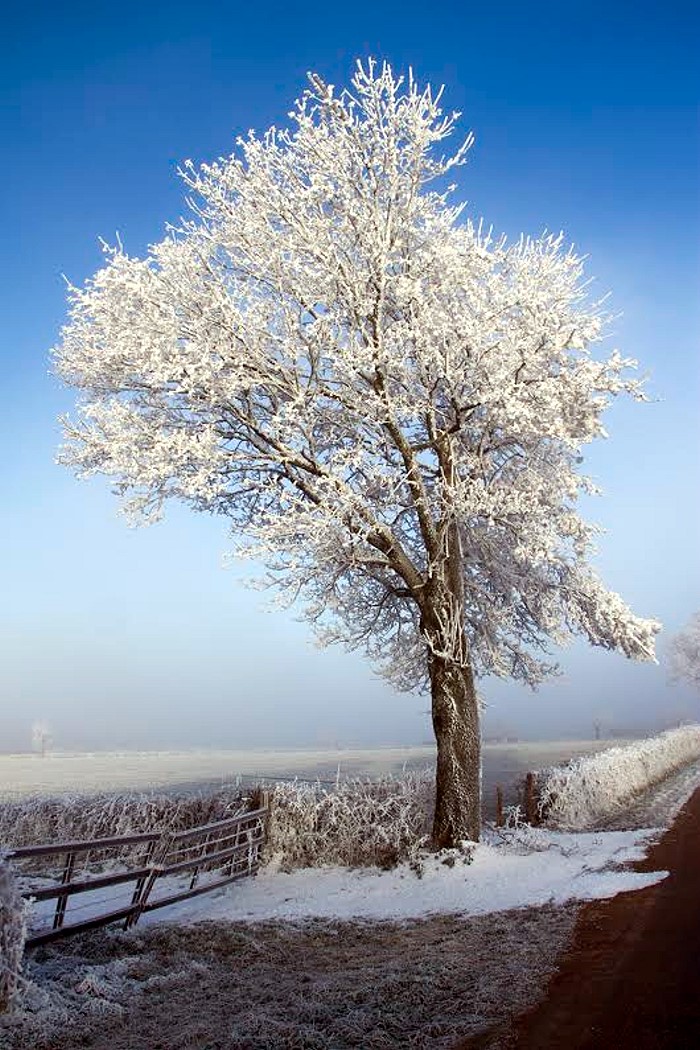 GIVRE 13 13 134