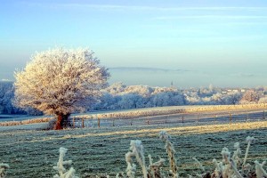 Givre
