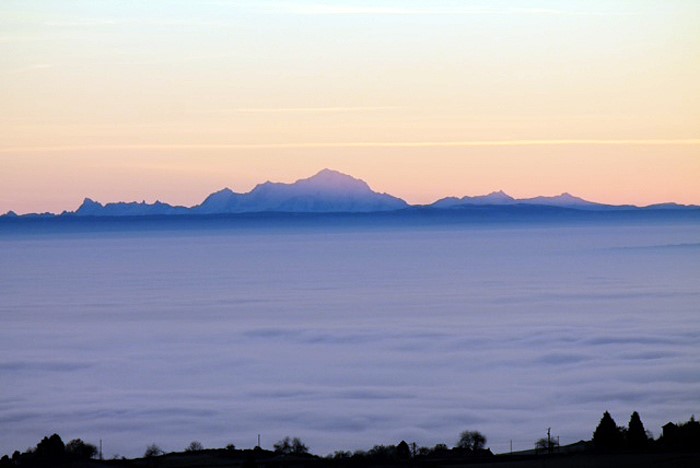 MONT 10 12 13