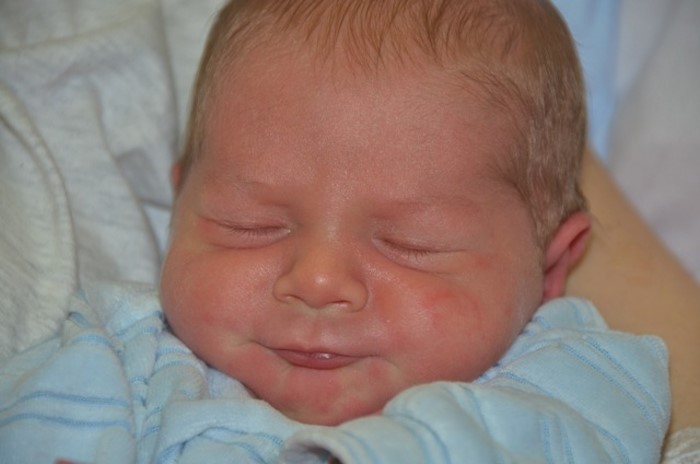 bebe leo 2212132