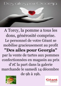« Des ailes pour Georgia »