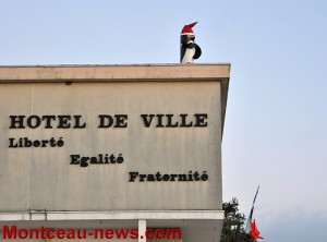« Marche de l’empereur » à Sanvignes