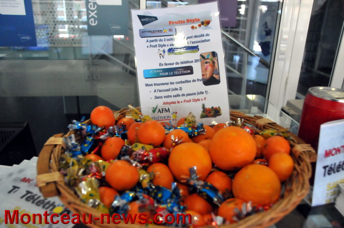 webhelp marronniers 0512134