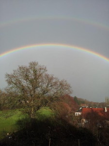 Superbe