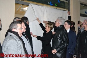 Municipales 2014 (Montceau-les-Mines)