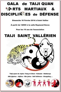 Gala du Taiji Quan (Saint-Vallier)
