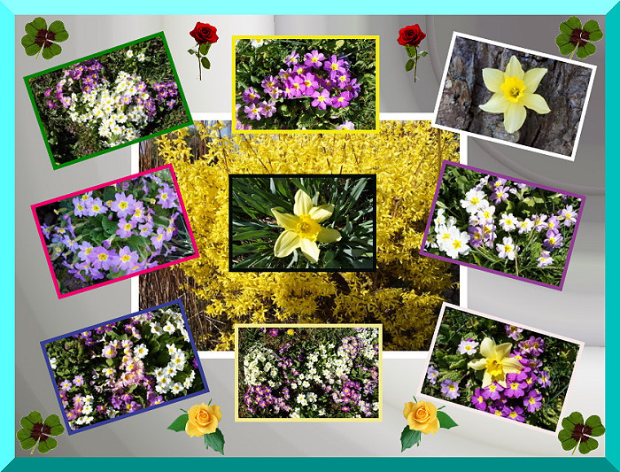 Printemps 19 03 14