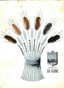 Gerbe (Saint-Vallier)
