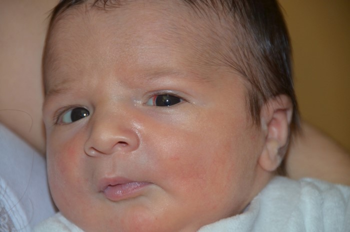 bebe enzo 1003142