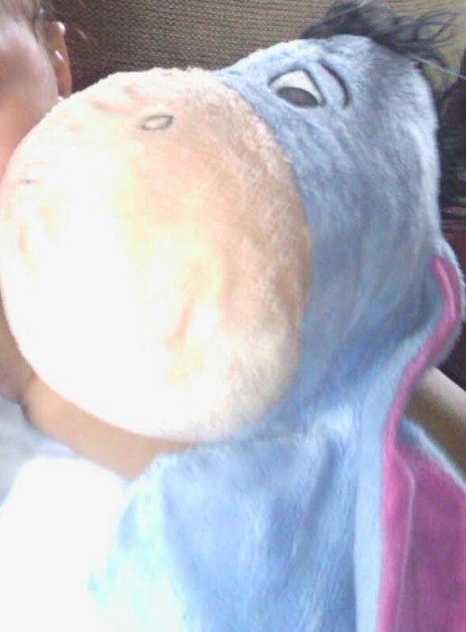 doudou perdu 2903142