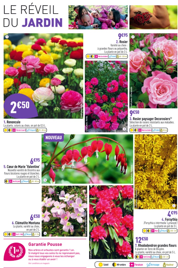 jardiland 0903143