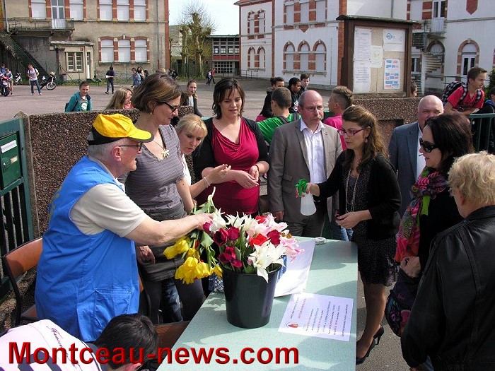 TEULIPES 11 04 144