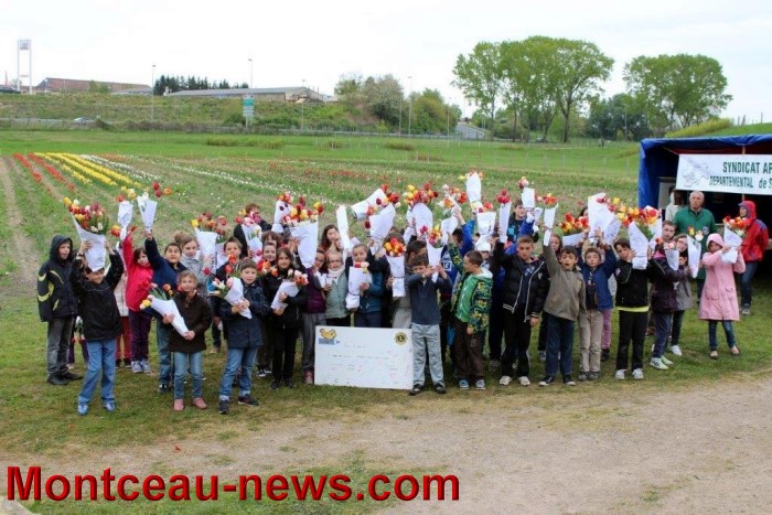 ecole oiseaux lions 1904143