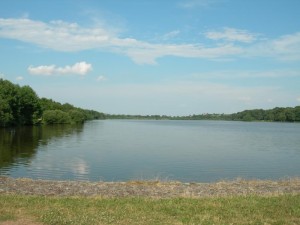 Etang du Rousset