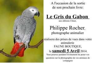 Faune Boutique (Le Creusot)