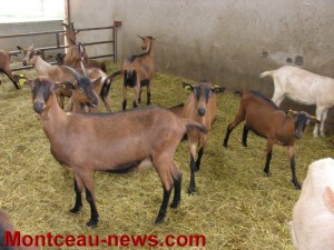 Gaec « Le Bois Neuf »