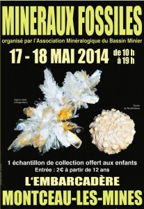 Association Minéralogique du Bassin Minier