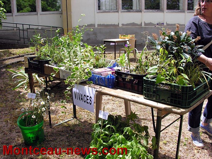 TRAOC 26 05 141