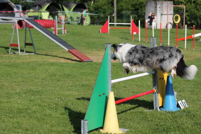 agility 2905142