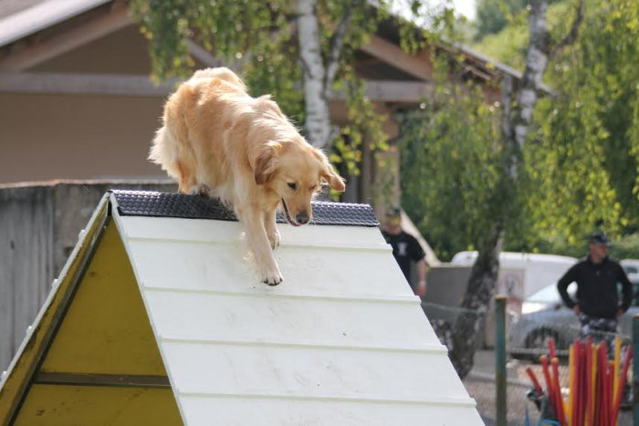agility 2905143