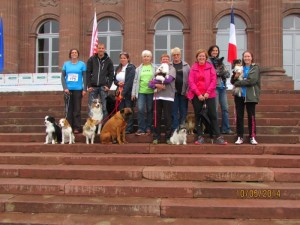 Club canin de Sanvignes (Educ Agility Passion)