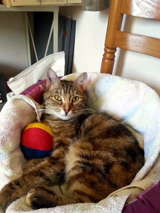 chat 20 05 14