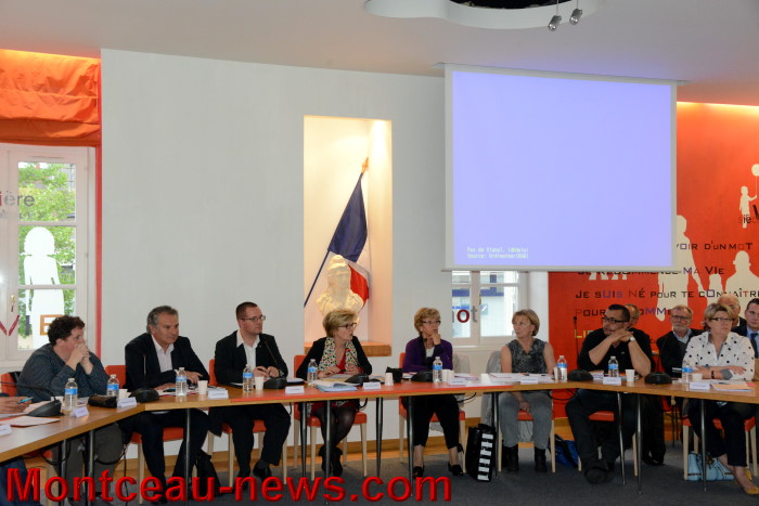 conseil mont 0205142