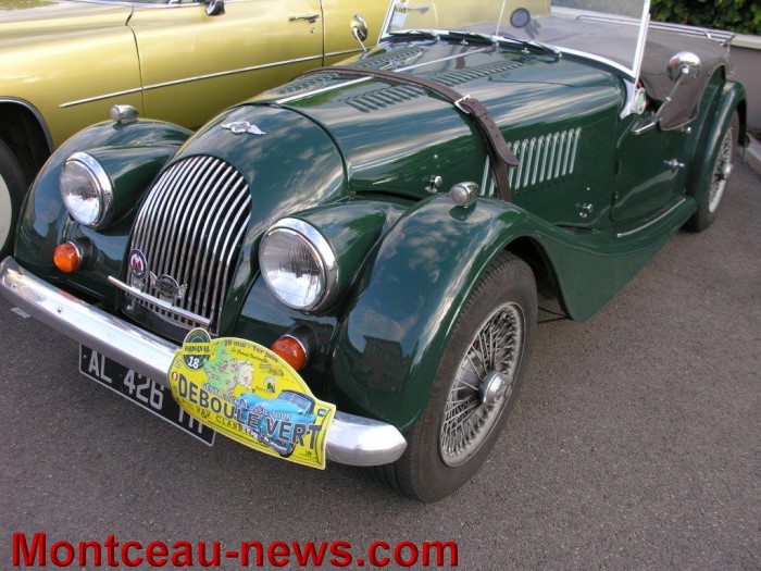 deboule vert 3105146