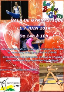 Etoile Sportive de Sanvignes (Gym)