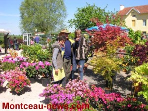 «Passion, Fleurs et Jardins» à Marigny