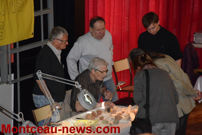 salon mineraux 1805143
