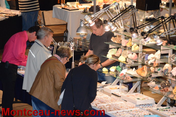 salon mineraux 1805144
