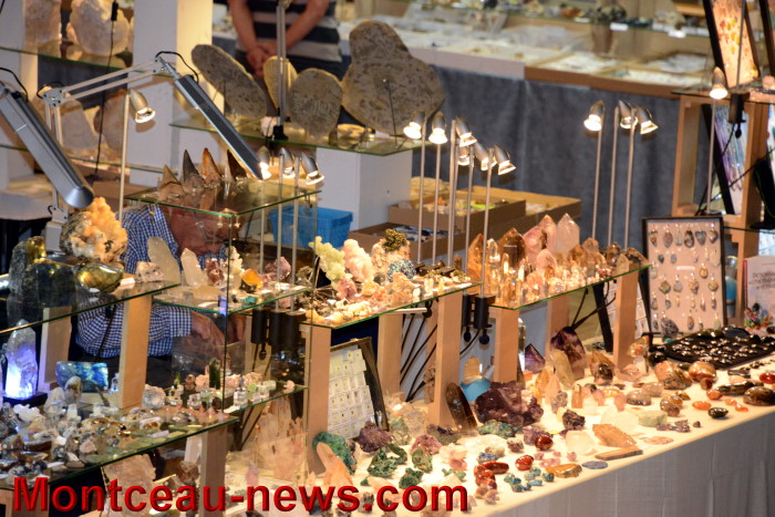 salon mineraux 1805145