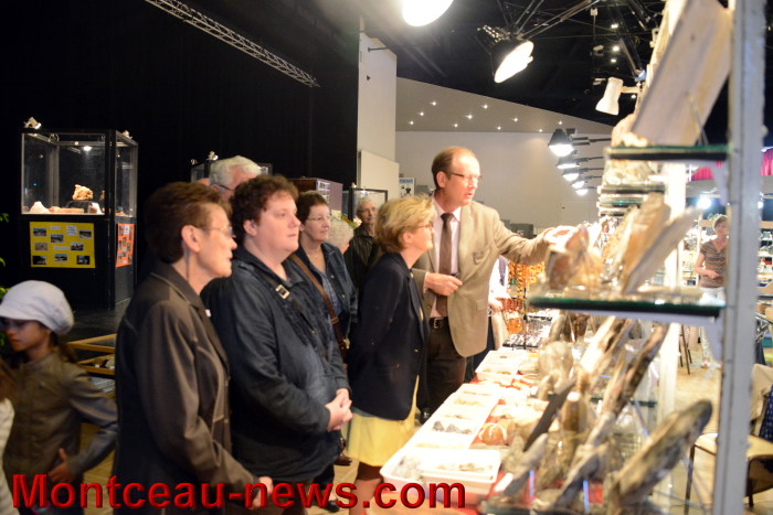 salon mineraux 1805147