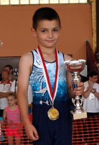 Alliance Elan Gymnique – Montcellienne (Gym)