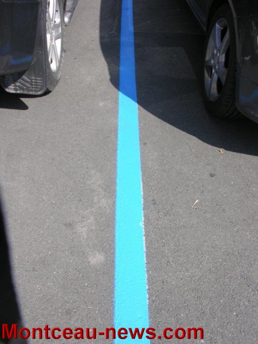 ligne bleu 1206142
