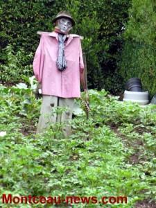 « Nos jardins à la mi-juillet ! »