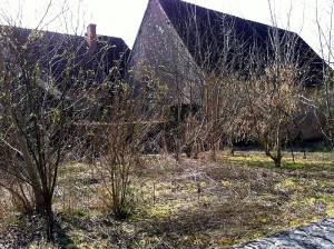 Annonce (Immobilier)