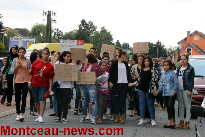 palestine manif 30071410