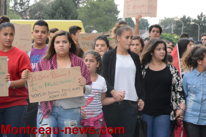 palestine manif 30071411