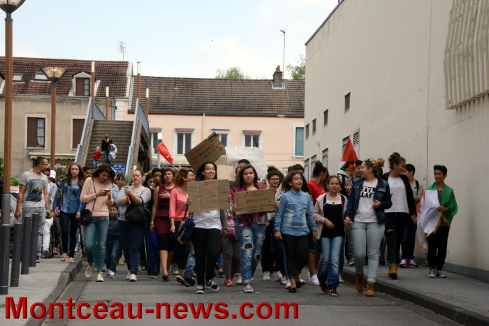 palestine manif 30071413